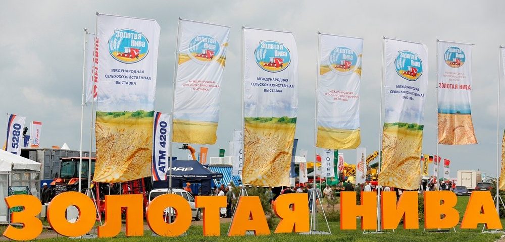 Золотая Нива 2019