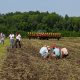 Демонстрация сельскохозяйственной техники и технологий «День воронежского поля»